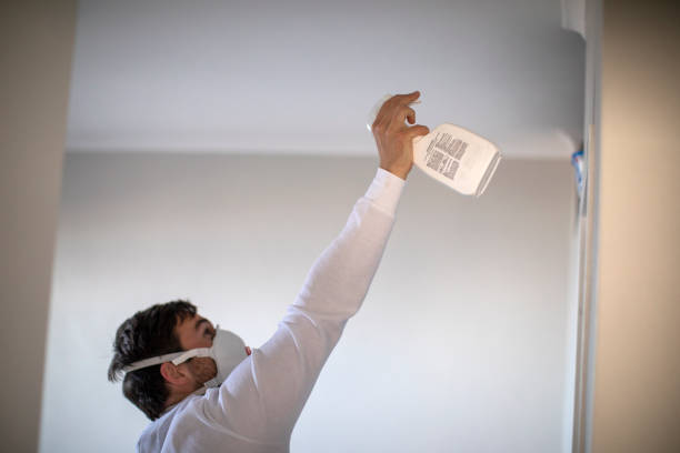 Best Residential Mold Removal  in Clover, SC